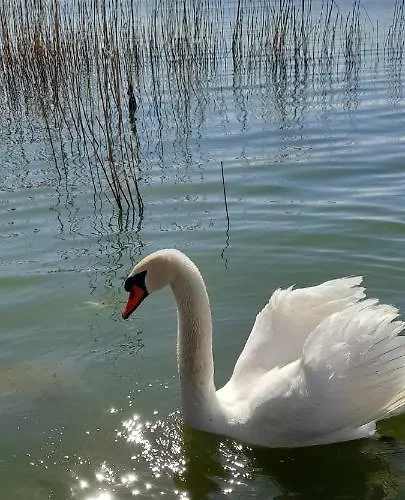 شقة Apus De Soare