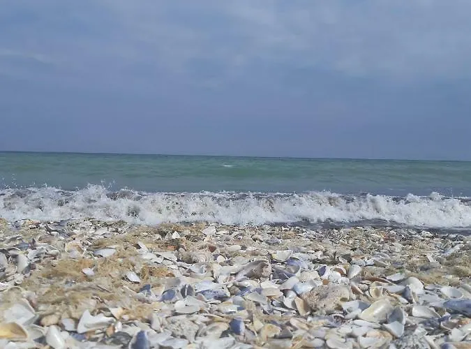 Apus De Soare * مامايا